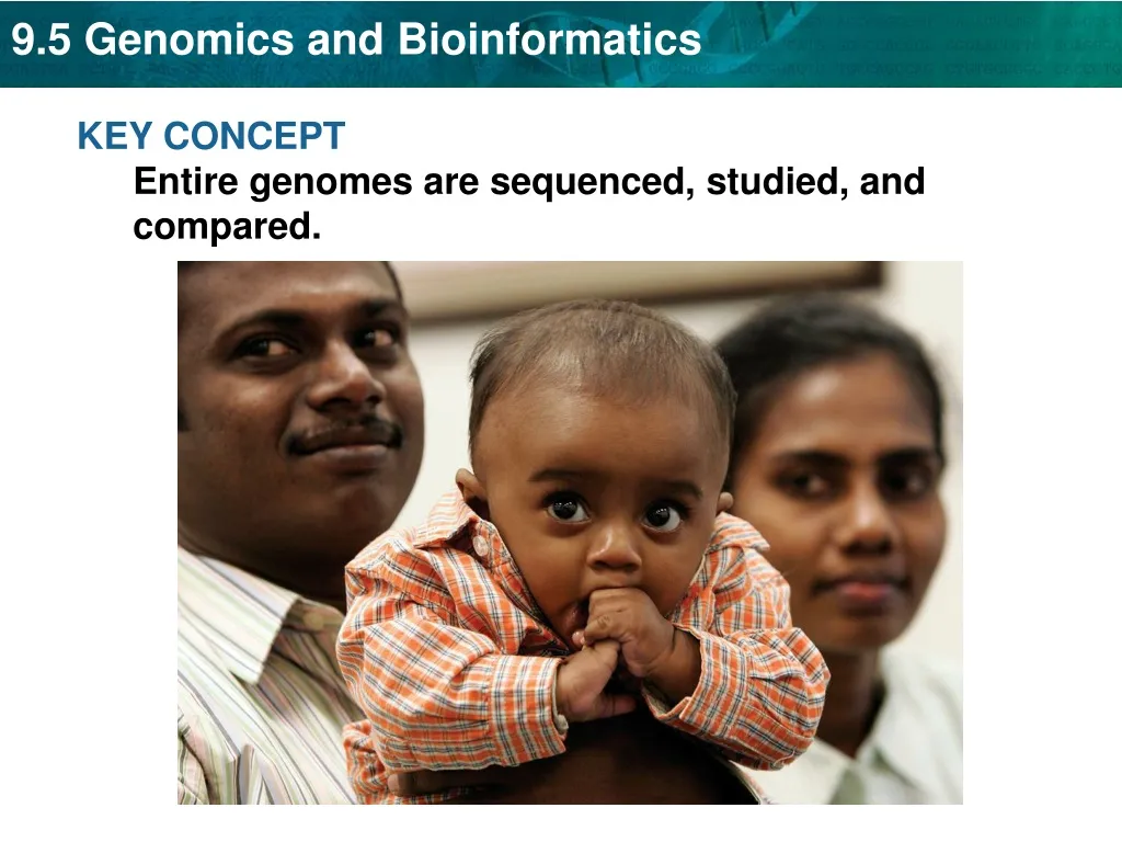 key concept entire genomes are sequenced studied