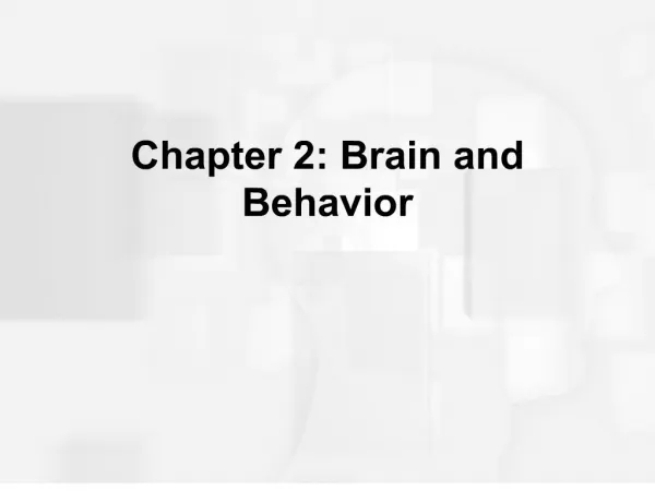 Chapter 2: Brain and Behavior