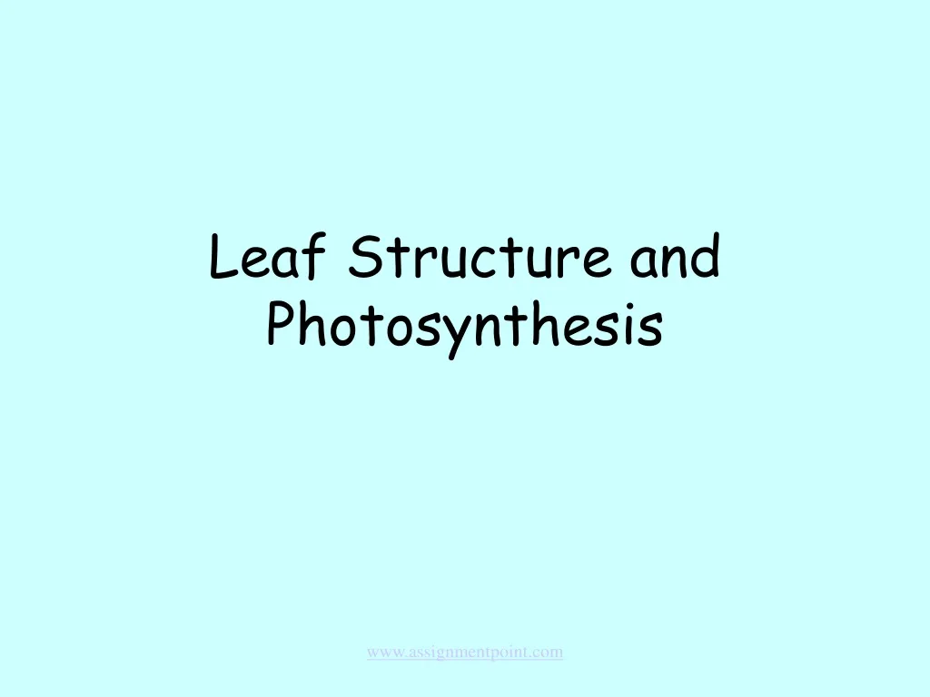 leaf structure and photosynthesis
