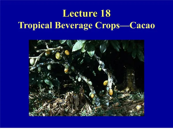 Lecture 18 Tropical Beverage Crops Cacao