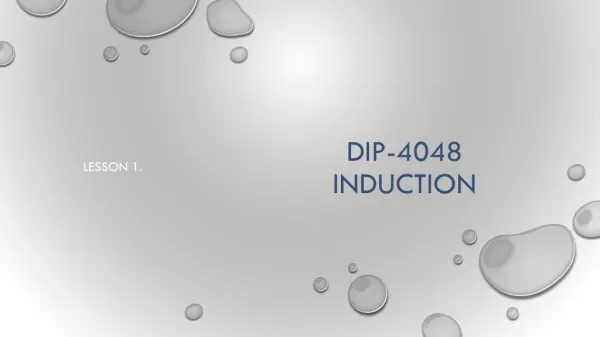 DIP-4048 Induction