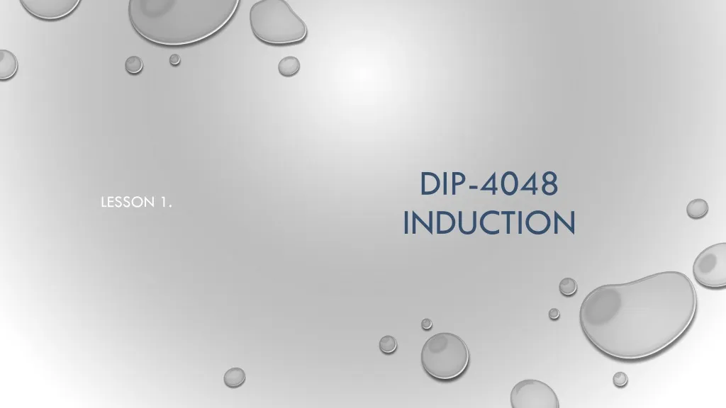 dip 4048 induction
