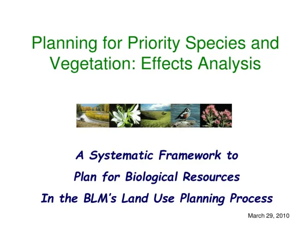 Planning for Priority Species and Vegetation: Effects Analysis