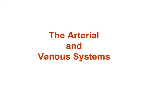 The Arterial and Venous Systems