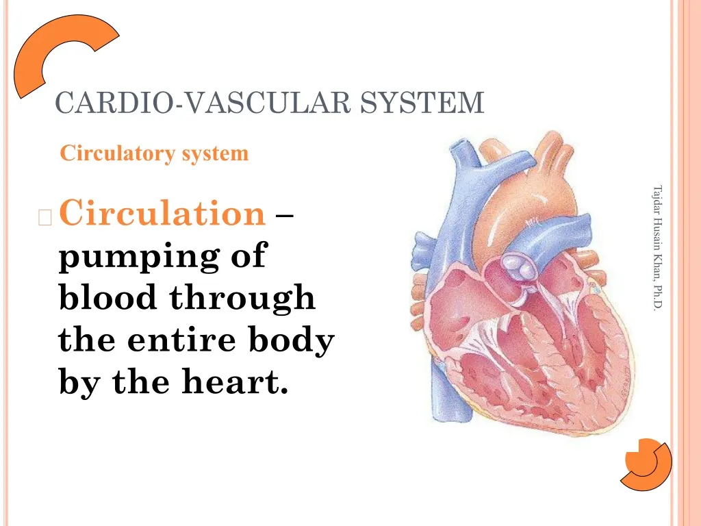 cardio vascular system