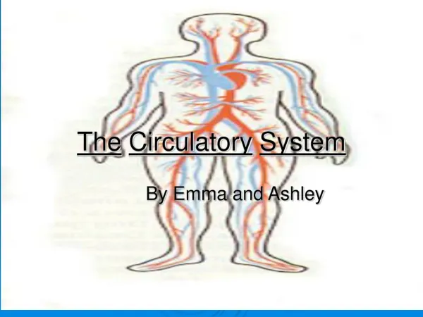 The Circulatory System