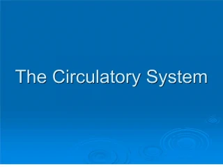 The Circulatory System - slide 1