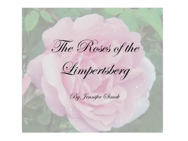 The Roses of the Limpertsberg