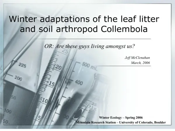 Winter adaptations of the leaf litter and soil arthropod Collembola
