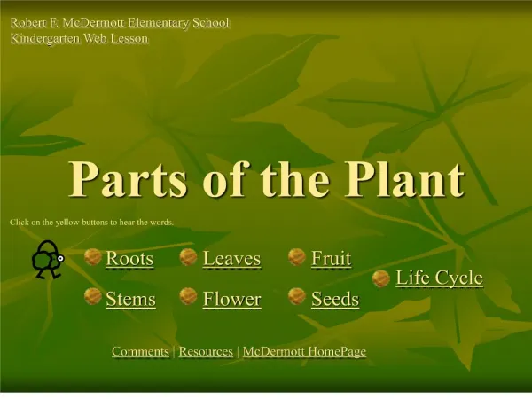 Parts of the Plant
