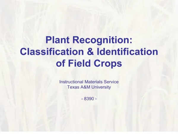 Plant Recognition: Classification Identification of Field Crops