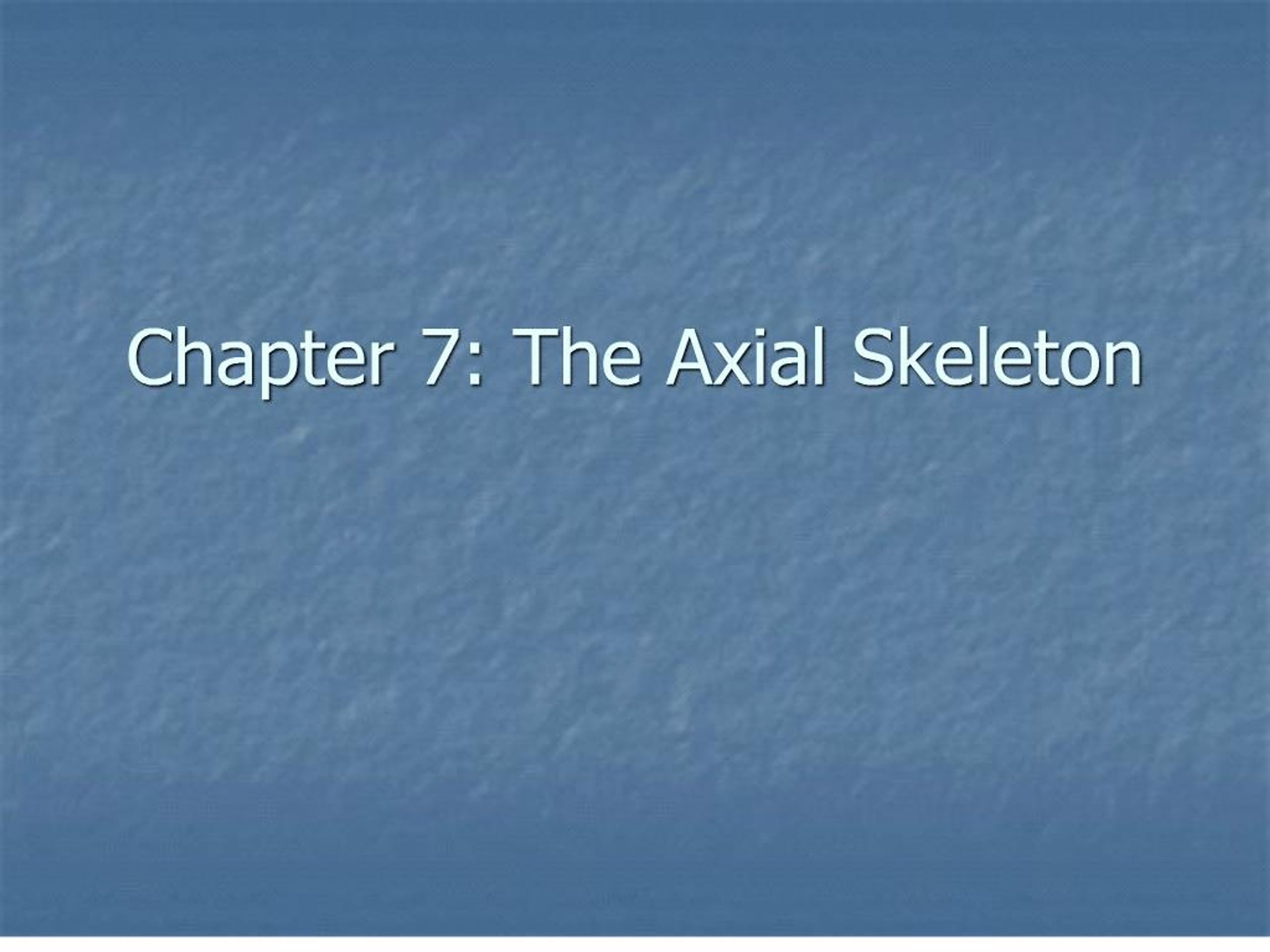 PPT - Chapter 7: The Axial Skeleton PowerPoint Presentation, free ...