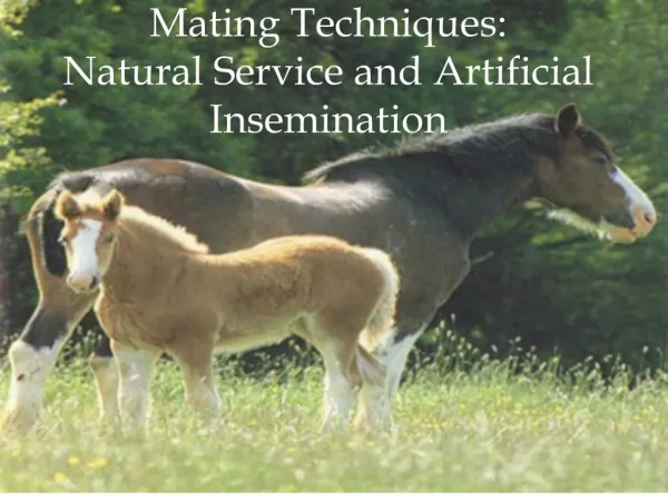 Mating Techniques: Natural Service and Artificial Insemination