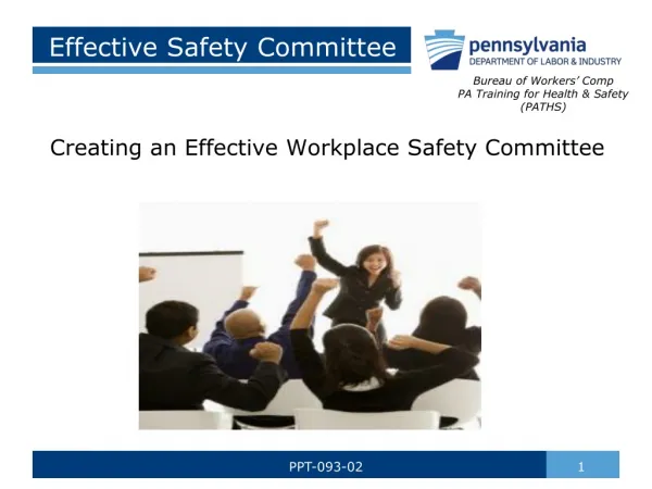 Effective Safety Committee
