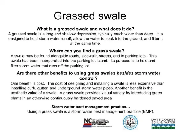 Grassed swale