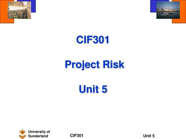 CIF301 Project Risk Unit 5