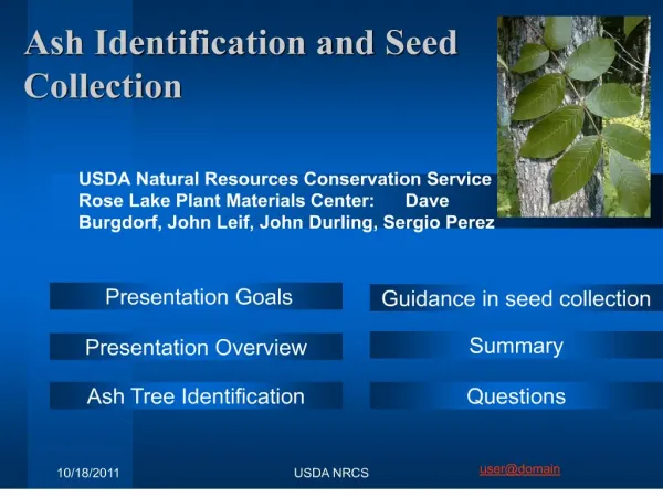 Ash Identification and Seed Collection