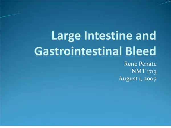 Large Intestine and Gastrointestinal Bleed