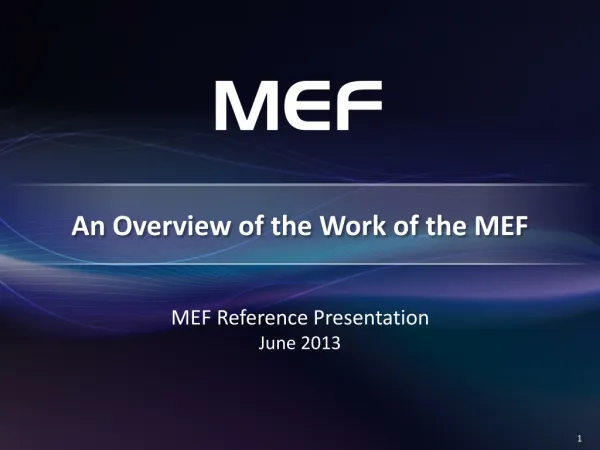 An Overview of the Work of the MEF