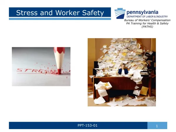 Stress and Worker Safety