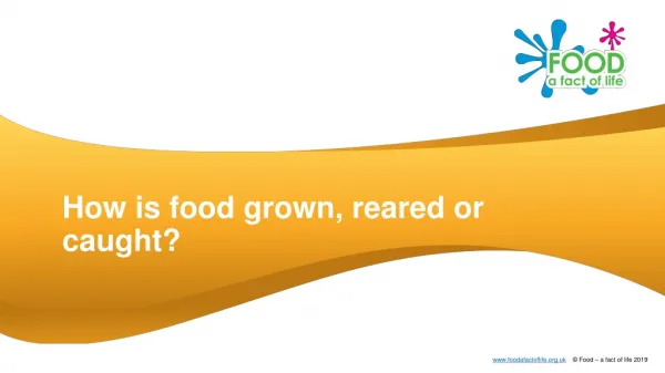 How is food grown, reared or caught?