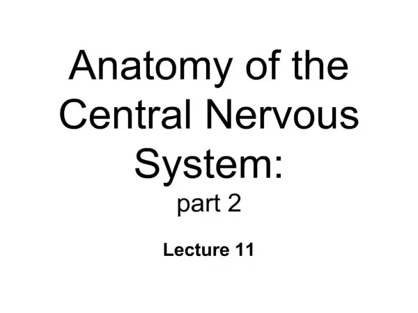 Anatomy of the Central Nervous System: part 2
