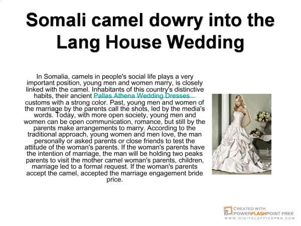 Somali camel dowry into the Lang House Wedding