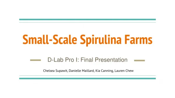 Small-Scale Spirulina Farms