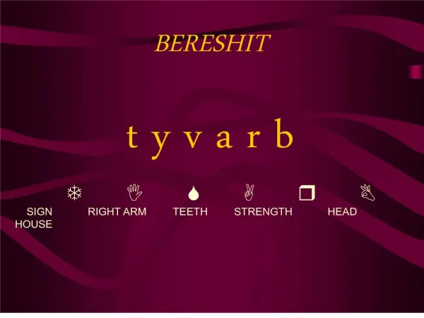 BERESHIT t y v a r b T I S A r B SIGN RIGHT ARM TEETH STRENGTH HEAD