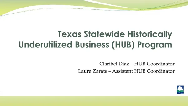 Texas Statewide Historically Underutilized Business (HUB) Program