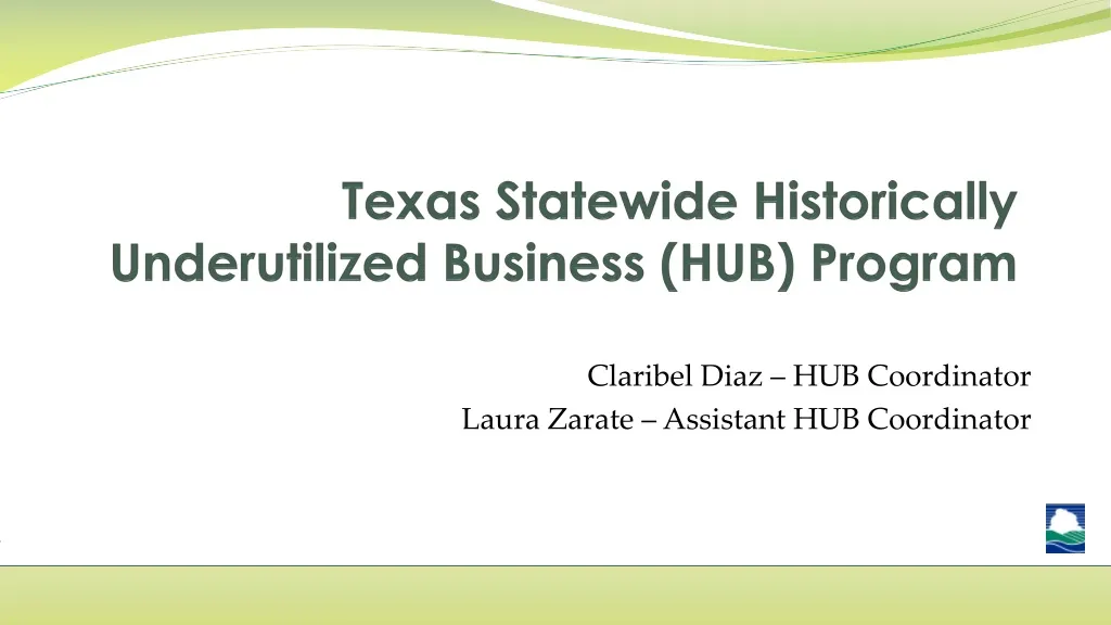 texas statewide historically underutilized business hub program