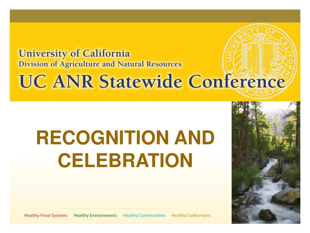 recognition and celebration