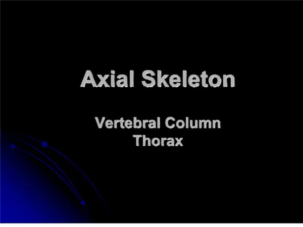 Axial Skeleton Vertebral Column Thorax