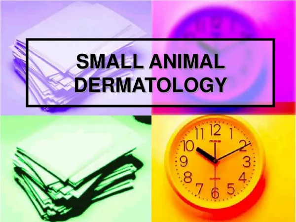 SMALL ANIMAL DERMATOLOGY