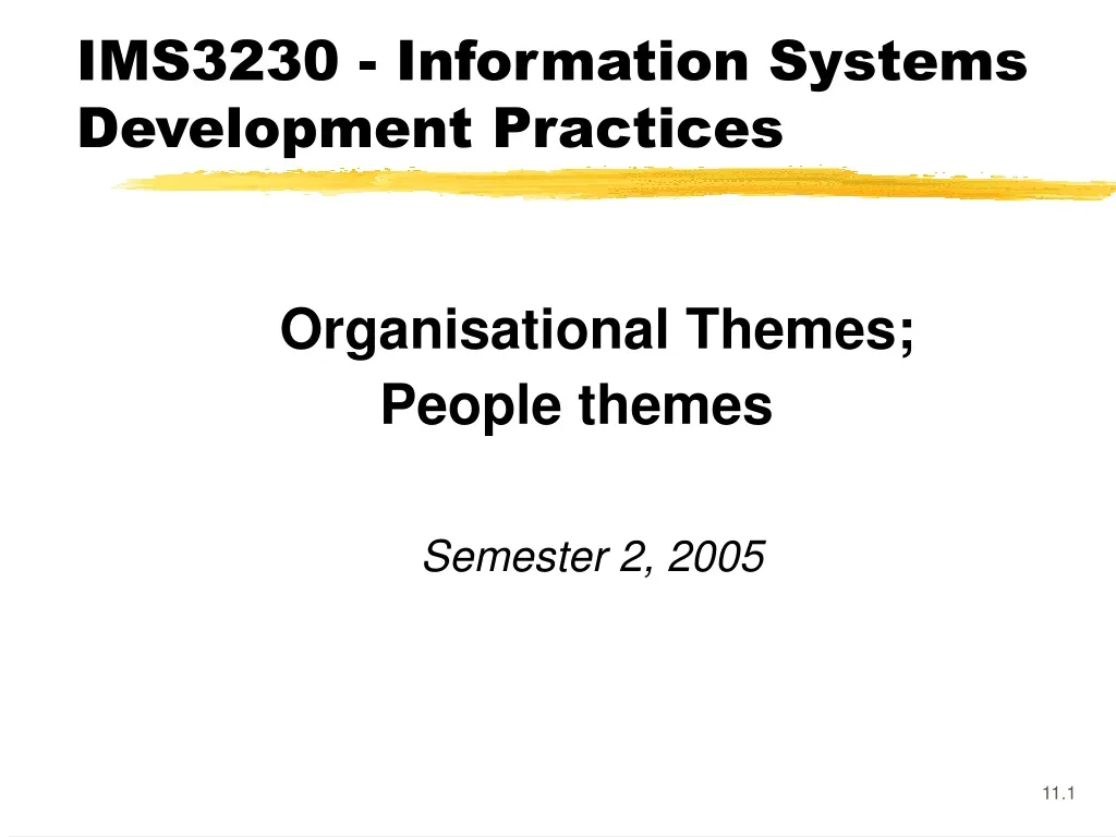 ims3230 information systems development practices