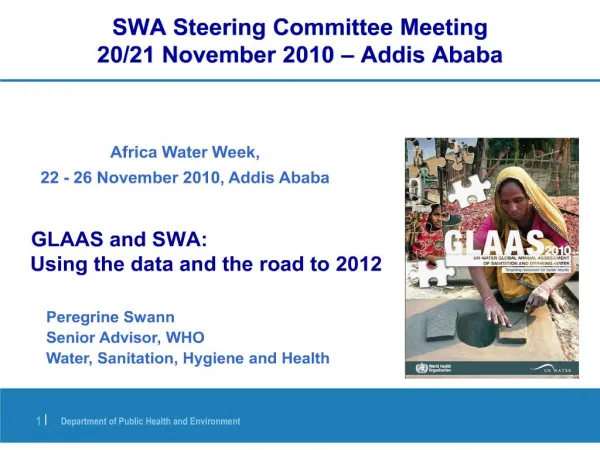 SWA Steering Committee Meeting 20