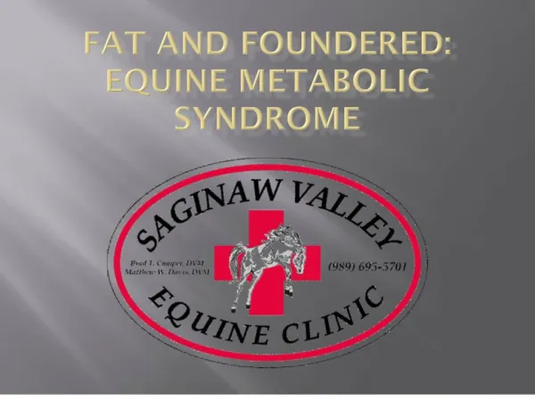 Fat and Foundered: Equine Metabolic Syndrome