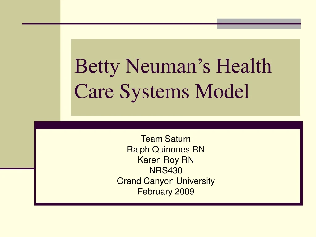 betty neuman s health care systems model