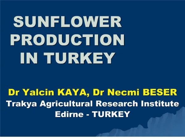 SUNFLOWER PRODUCTION IN TURKEY
