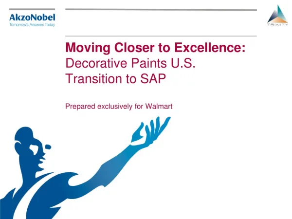 Moving Closer to Excellence: Decorative Paints U.S. Transition to SAP