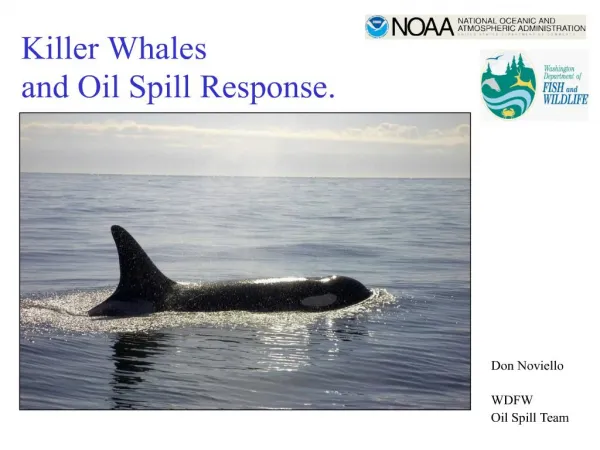 Killer Whales and Oil Spill Response.