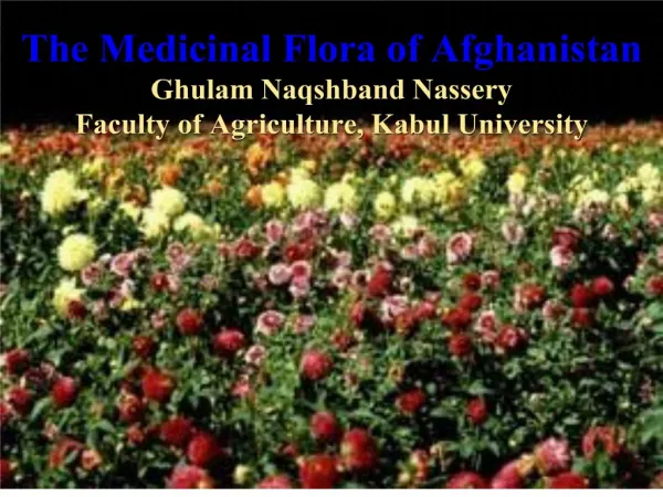 The Medicinal Flora of Afghanistan Ghulam Naqshband Nassery Faculty of Agriculture, Kabul University