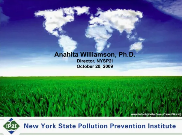 NYS Pollution Prevention Institute