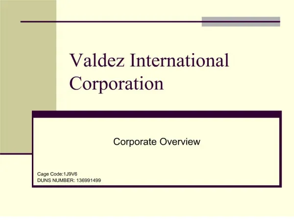 Valdez International Corporation