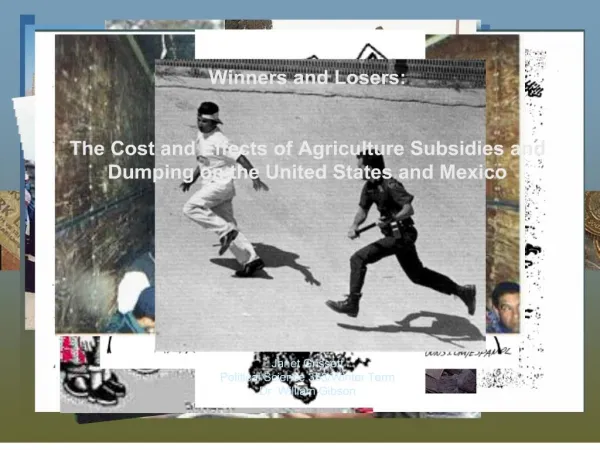 Winners and Losers: The Cost and Effects of Agriculture Subsidies and Dumping on the United States and Mexico Ja