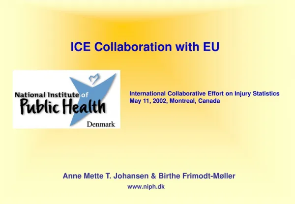 ICE Collaboration with EU