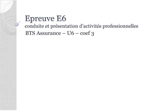 Epreuve E6 conduite et pr sentation d activit s professionnelles