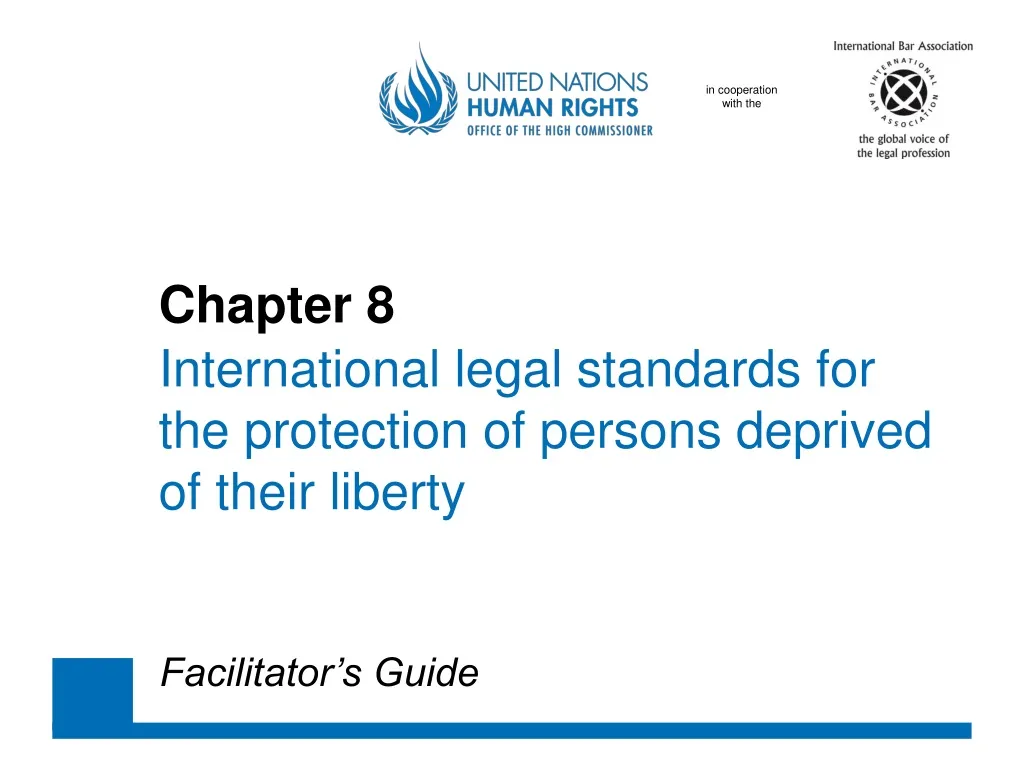 chapter 8 international legal standards for the protection of persons deprived of their liberty
