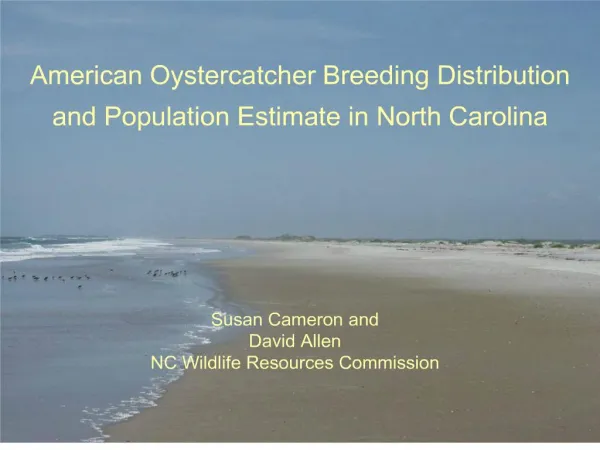 American Oystercatcher Breeding Distribution and Population ...