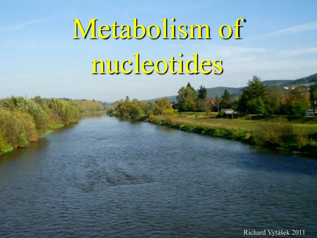 metabolism of nucleotides